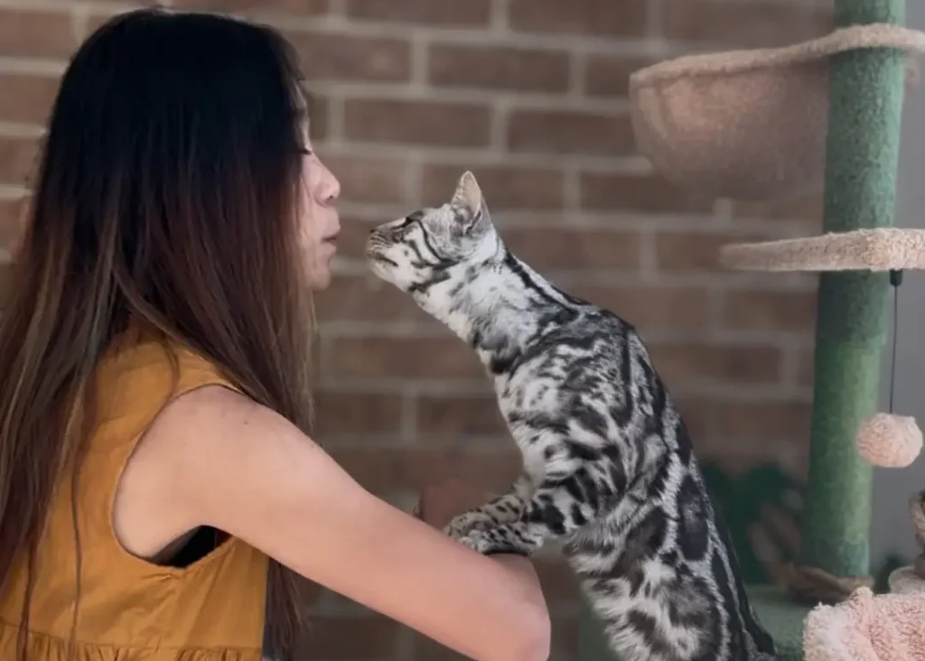 untitled design (10)