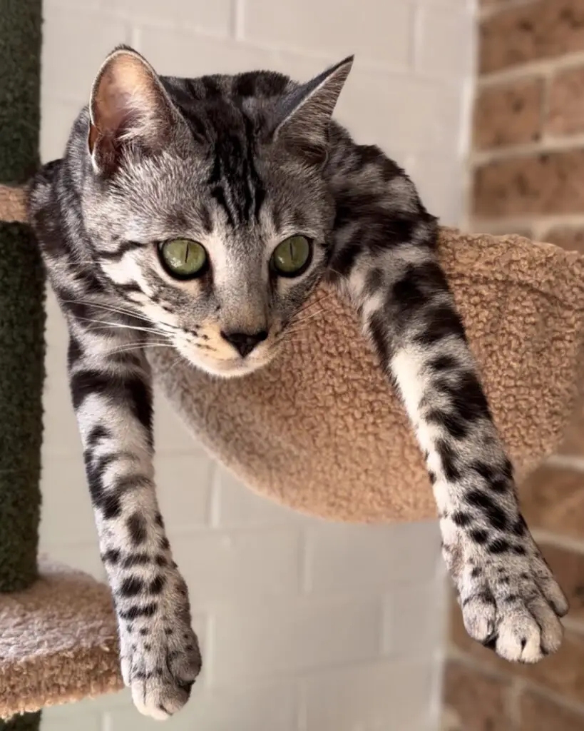 untitled design 1 (3)