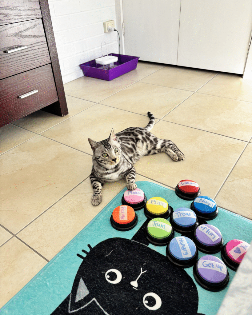 untitled design 11 untitled design 11