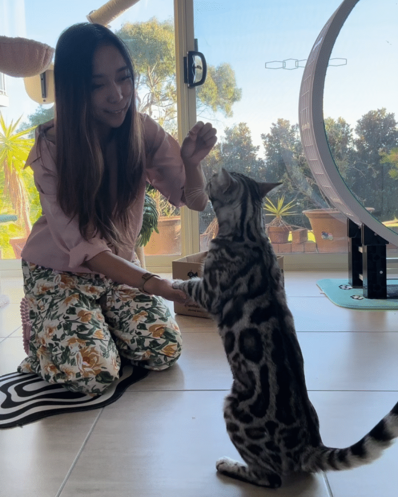 untitled design 13 untitled design 13