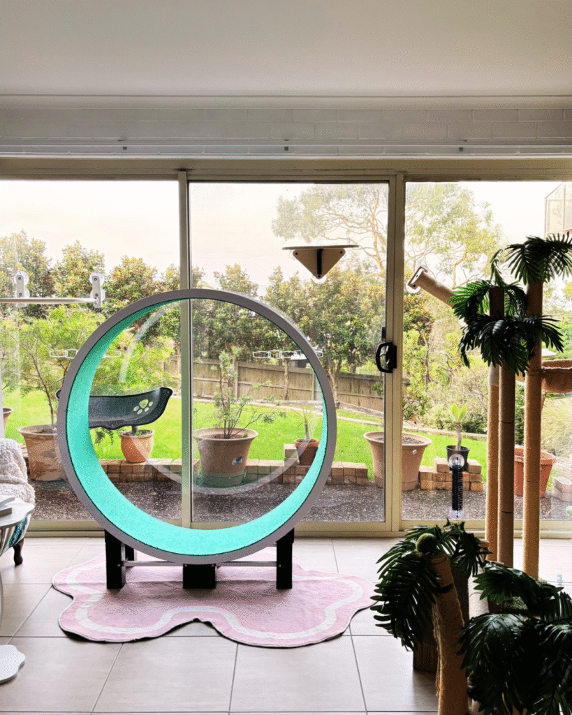 untitled design 2 (4)