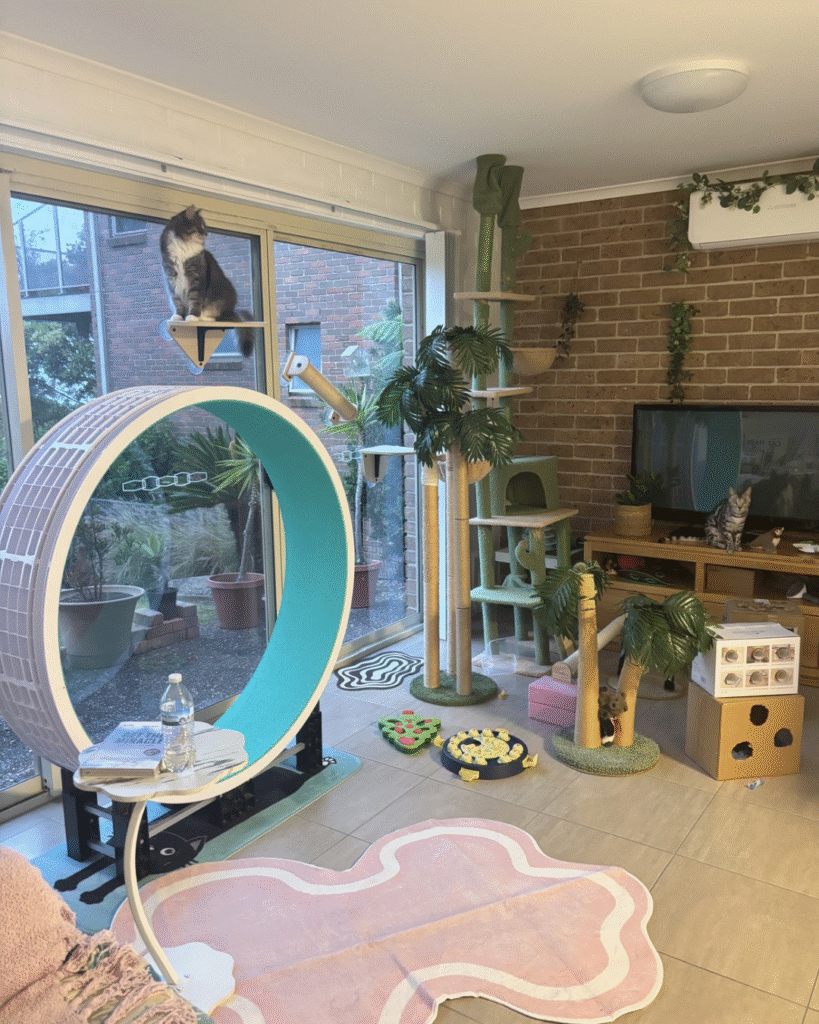 untitled design 4 (2)