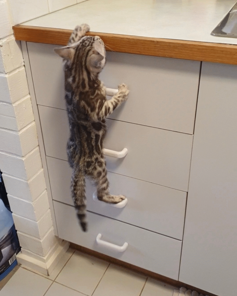 untitled design 7 untitled design 7