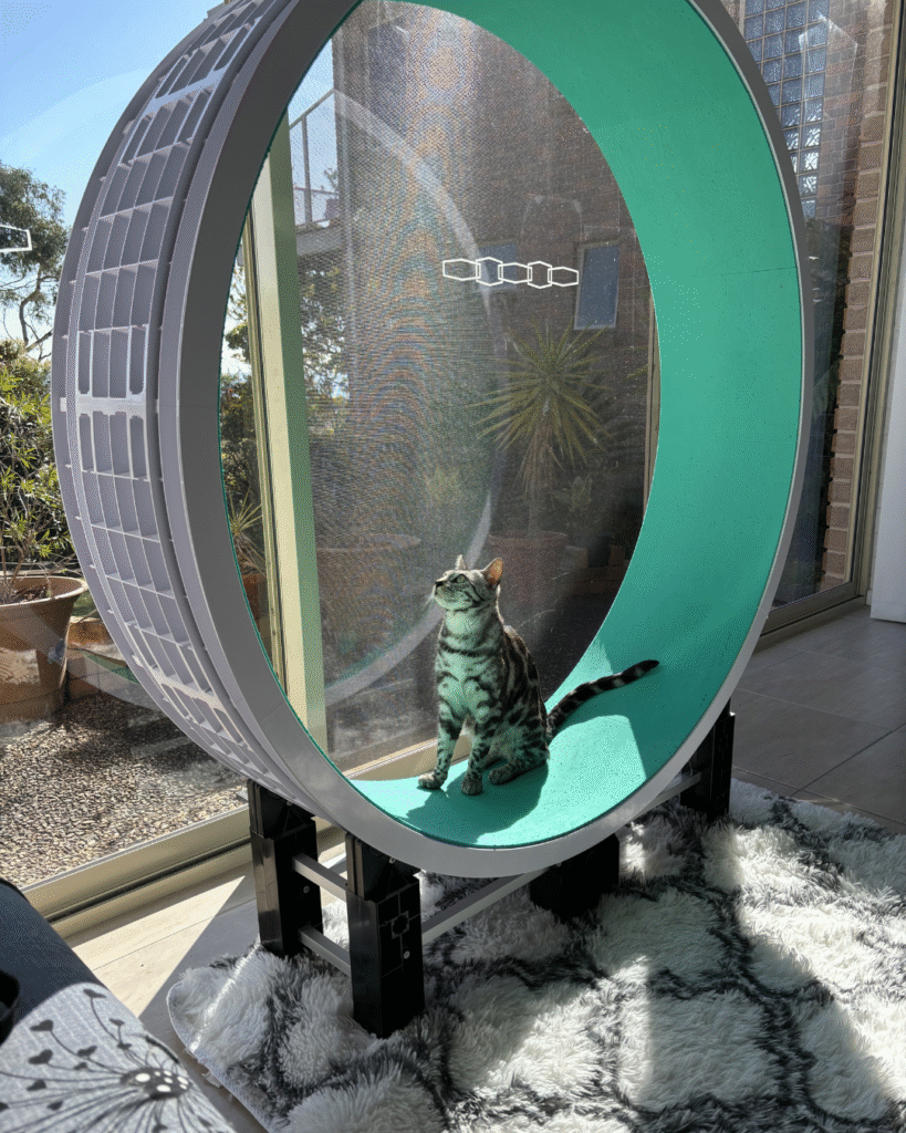 untitled design 9 untitled design 9